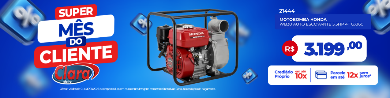 Motobomba Honda WB30