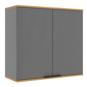 Armário Aéreo Telasul 800mm Cinza/Freijo