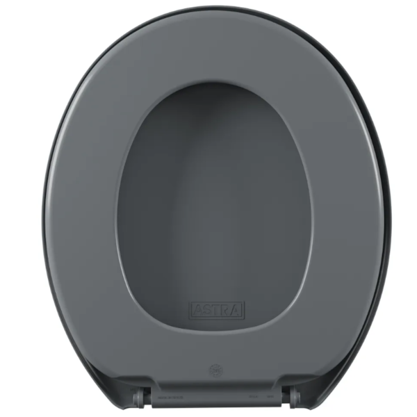 Assento Sanitario Astra Oval Cinza-9c9094e8-bce5-4ba8-a37e-f9254828cf3e