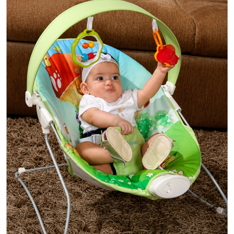 Cadeira De Descanso Bebe Garden 5080gr Galzerano-6f05af45-f451-4d7d-b752-761814de76b9