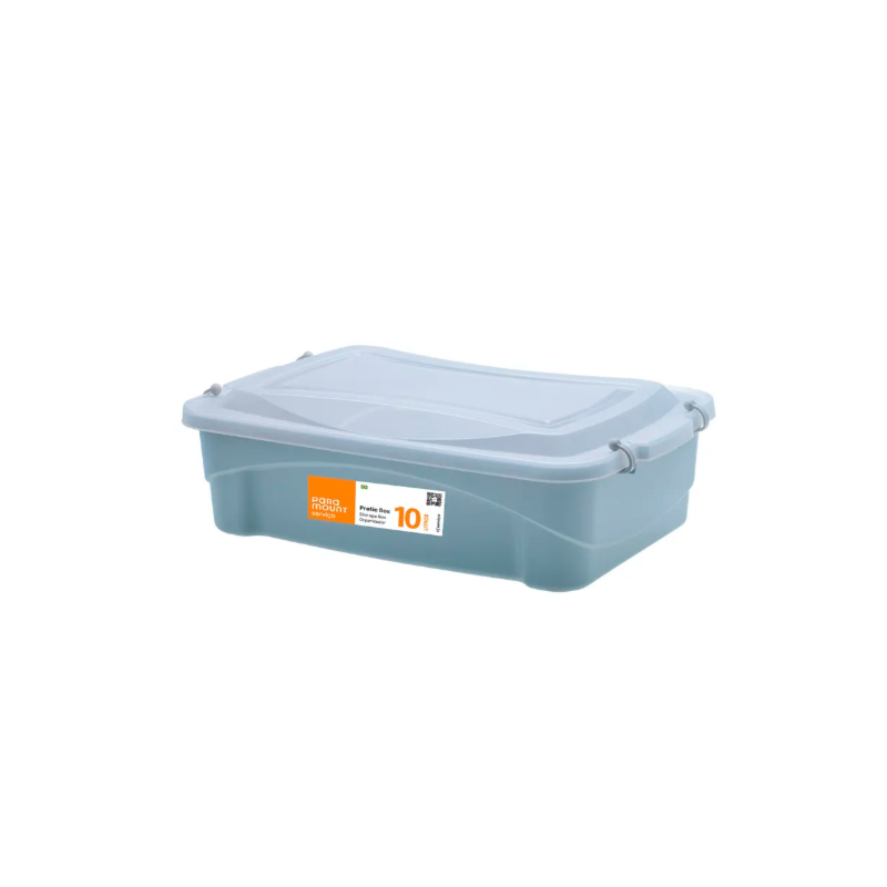 Caixa Organizadora Paramount Pratic Box 10L 41X29X14CM Grey