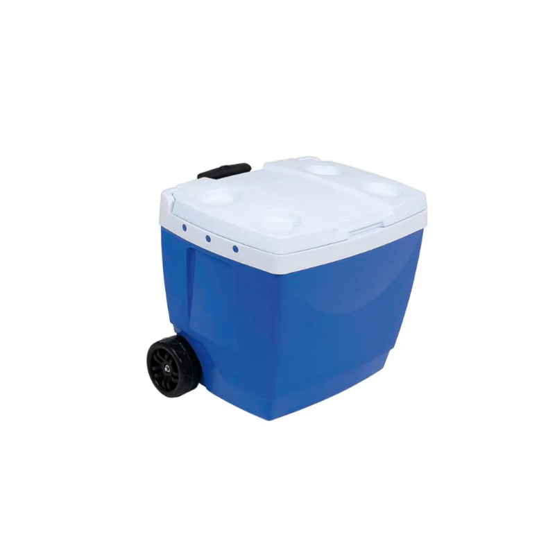 Caixa Termica Mor 42L Azul-04b4d96d-7851-4014-ba12-f952b9ade98b
