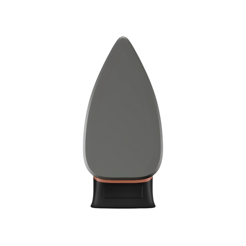Ferro de Passar Arno a Seco Drygliss com Base Antiaderente 127V FS31 Preto/Derracota-139e879b-15d0-414a-ba52-84e55e99af6a