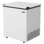 Freezer Conservador Horizontal ECH250 230 Litros Esmaltec