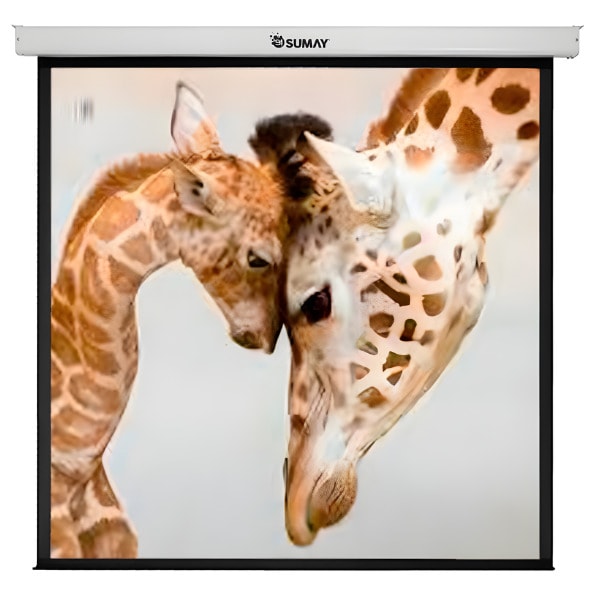 Tela de Projeção Sumay Retrátil 110