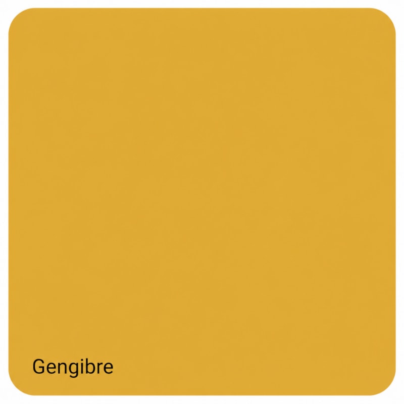 Tinta Iquine Sela e Pinta 15L Gengibre – Embalagem Retangular-2aac02fb-cf2b-444b-abe6-015a9ea541e5